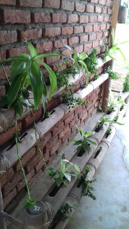 Longchen Homestay Dimāpur Exterior foto